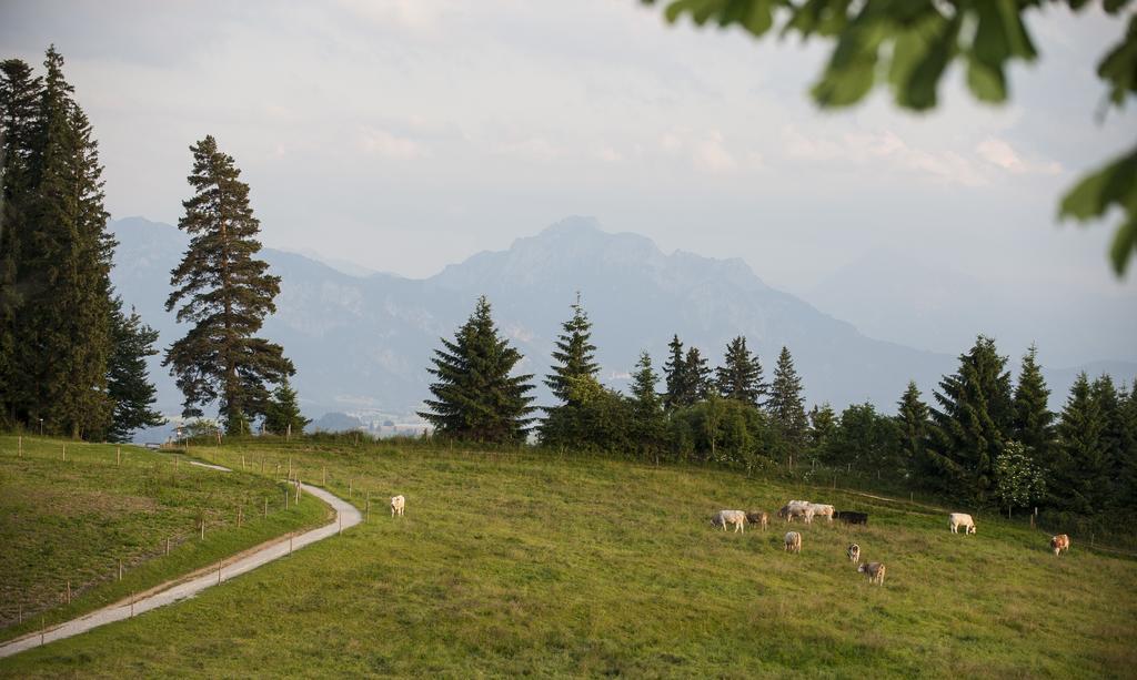 Panoramagasthof auf dem Auerberg Bernbeuren Bagian luar foto