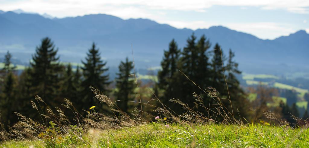Panoramagasthof auf dem Auerberg Bernbeuren Bagian luar foto